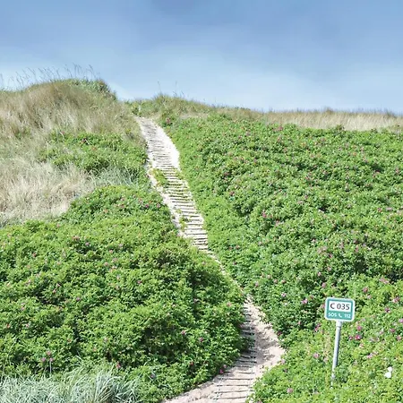 Holiday Tingodden V * Hvide Sande